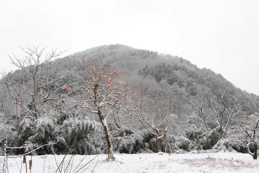 Madarao Farm Villa Nakano  Kültér fotó