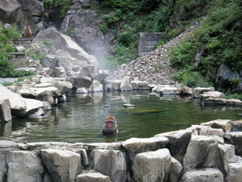Madarao Farm Villa Nakano  Kültér fotó